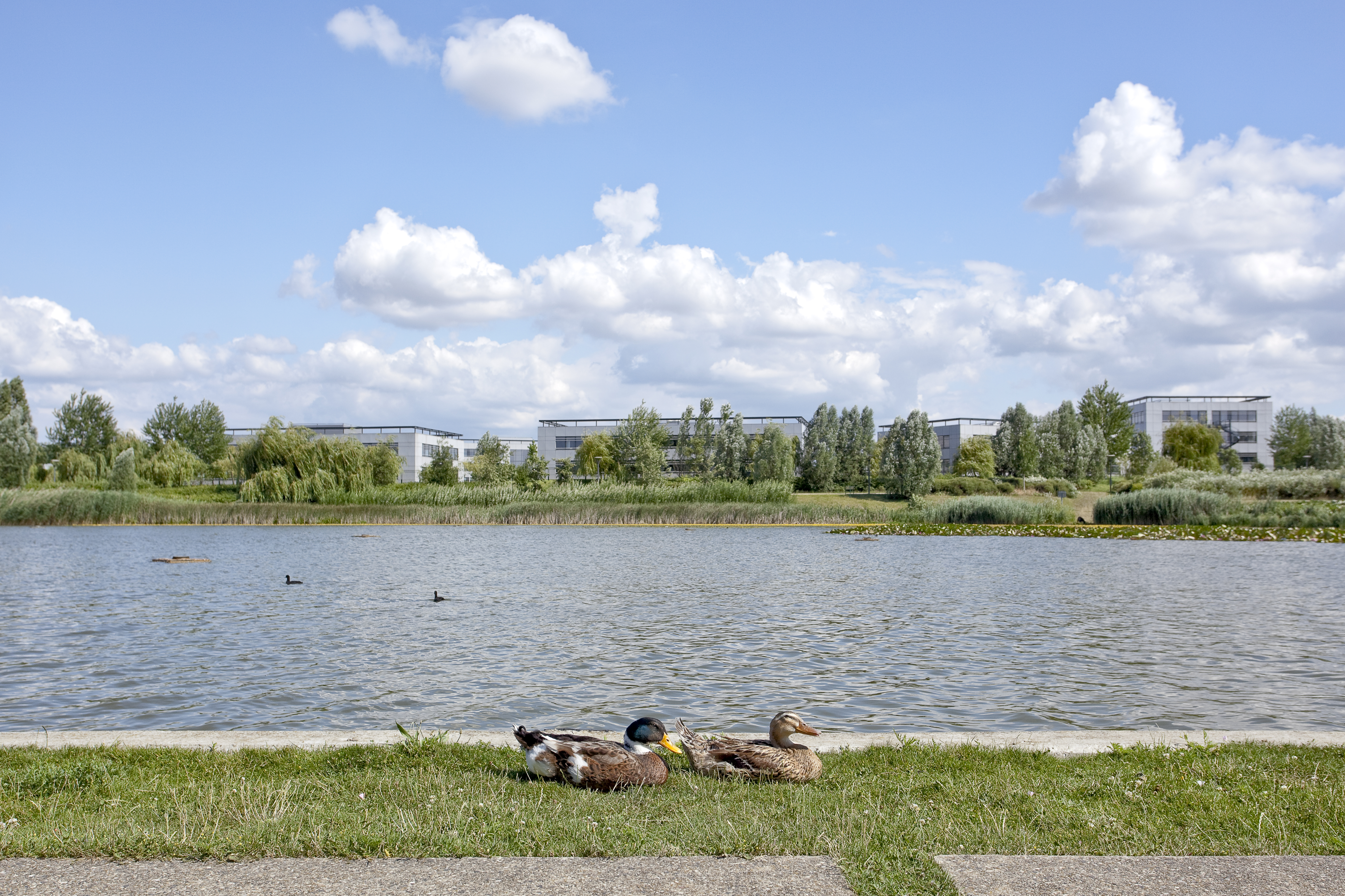 Technological park of St Priest